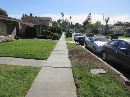 Valley Glen curb ramp apron approach sidewalk repair