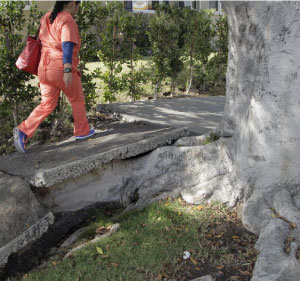 Pico Gardens City Sidewalk Repair