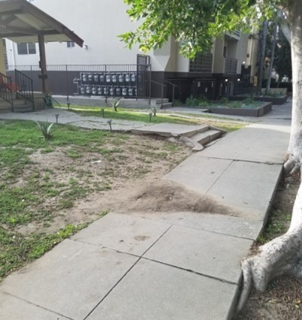 Hollywood curb ramp apron approach sidewalk repair contractor