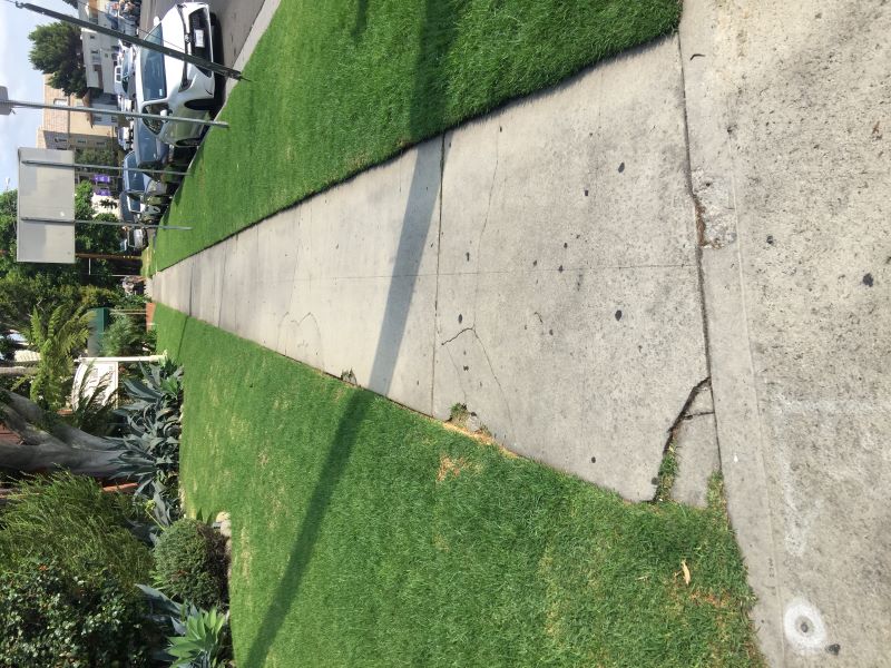 Palms curb ramp apron approach sidewalk repair contractor