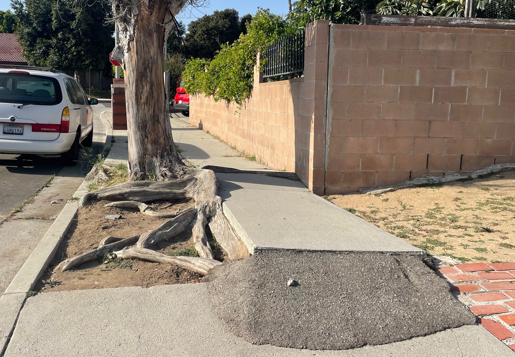 Three Options to Fix Your Sidewalk if Safe Sidewalks LA Program Fails You