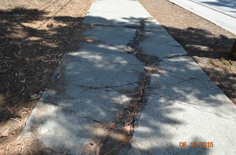 Montecito Heights Curb Ramp Apron Aproach repair sidewalk