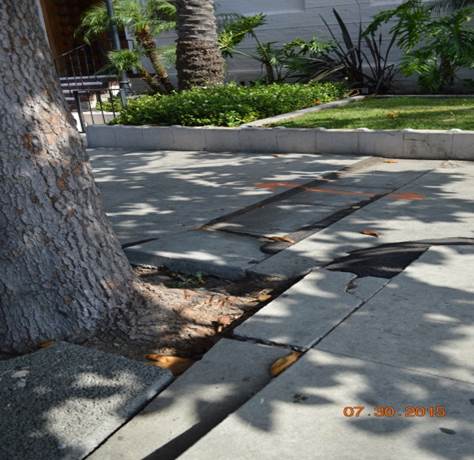 Leimert Park curb ramp apron approach sidewalk repair