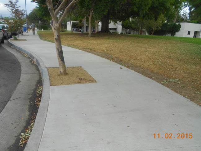 Northridge Sidewalk Repair Rebate Program