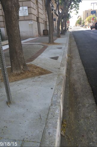 San Pedro Sidewalk Repair Rebate Program