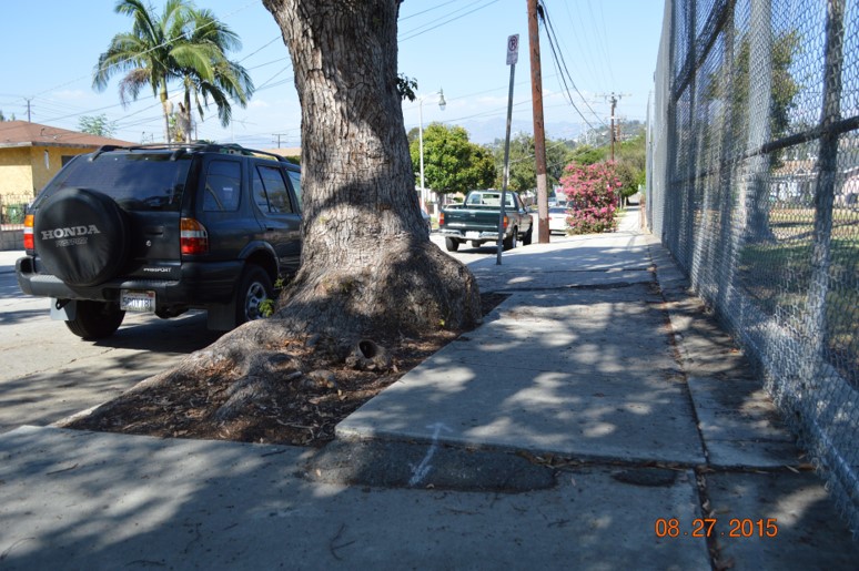 Silver Lake sidewalk repair rebate program