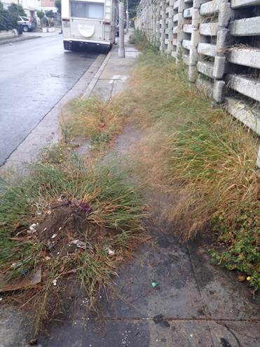 Valley village Curb Ramp Approach Sidewalk Repair Concrete Contractor