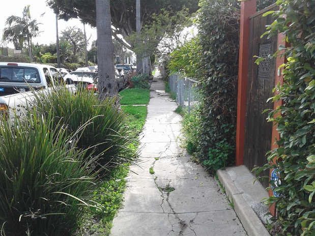 Venice curb ramp apron approach sidewalk repair