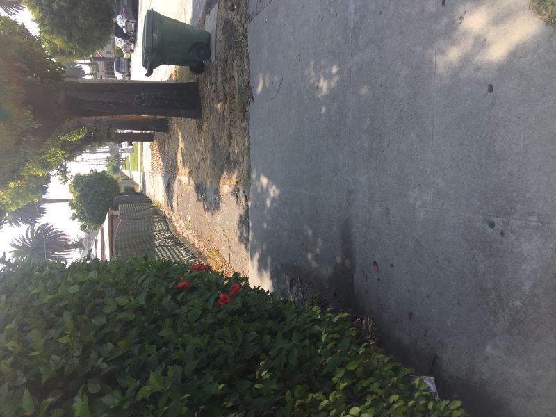 West Adams curb ramp apron approach sidewalk repair