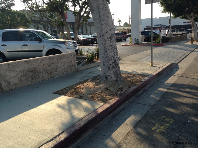 Panorama City Sidewalk Repair Rebate Program